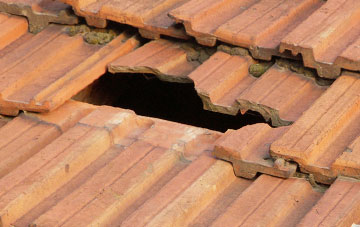 roof repair Angelbank, Shropshire