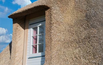 Angelbank thatch roof disadvantages